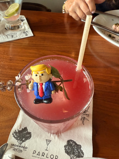 Pocket Potus Pack of 5 ($3.49 each)