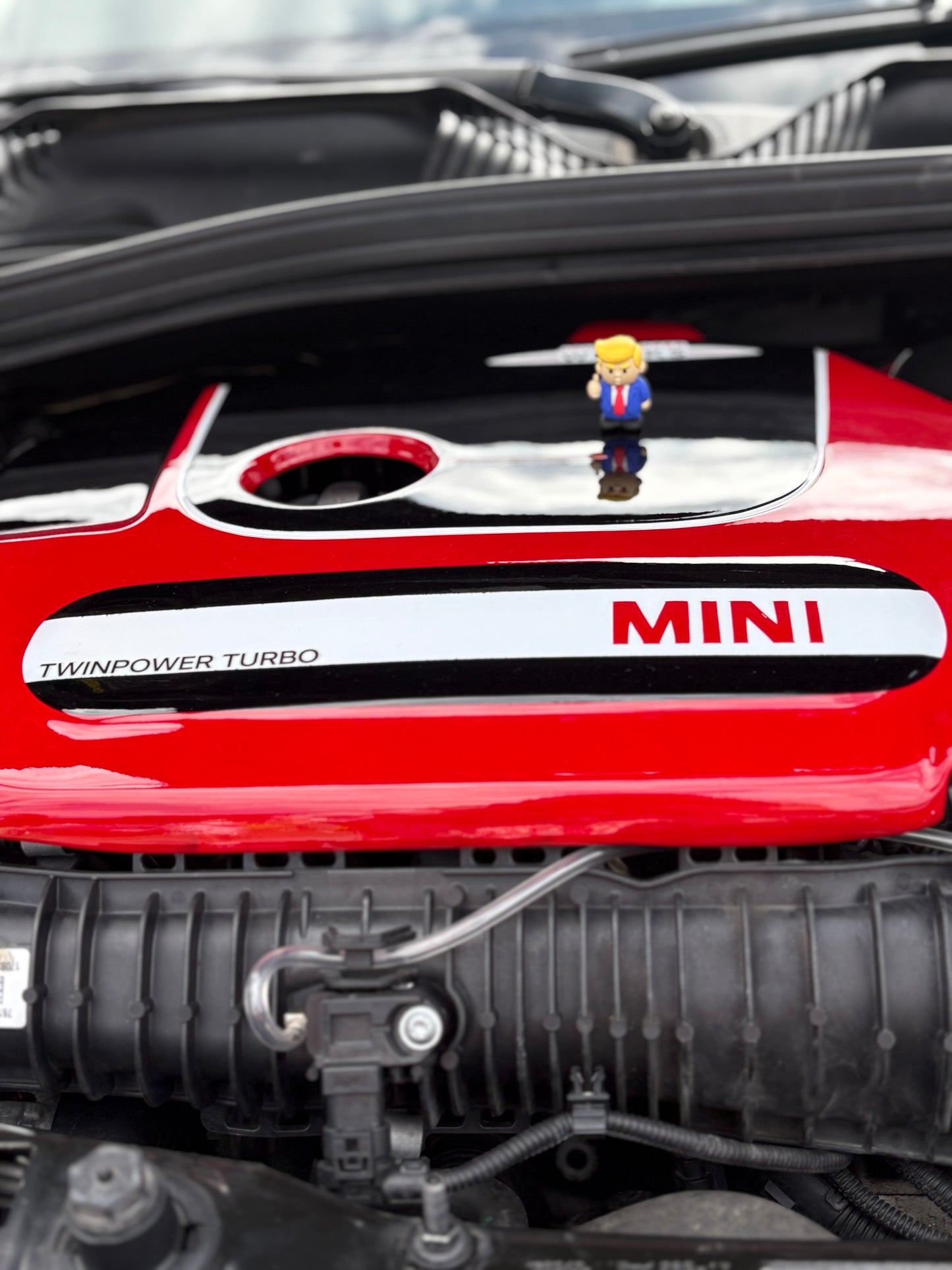 Pocket Potus Pack of 50 ($1.90 each)