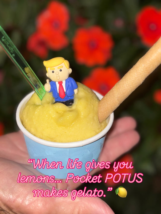 Pocket Potus Pack of 5 ($3.49 each)