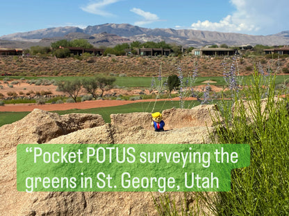 Pocket Potus Pack of 50 ($1.90 each)