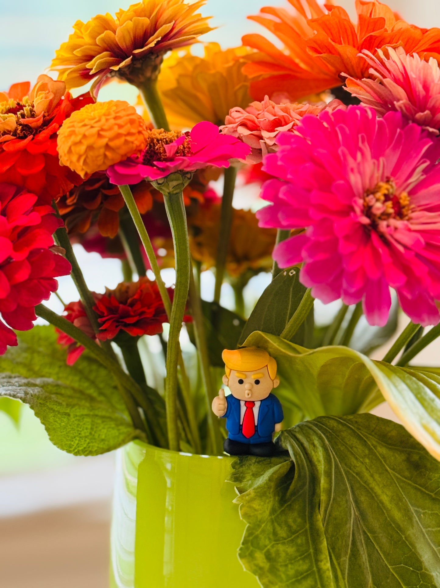 Pocket Potus Pack of 5 ($3.49 each)