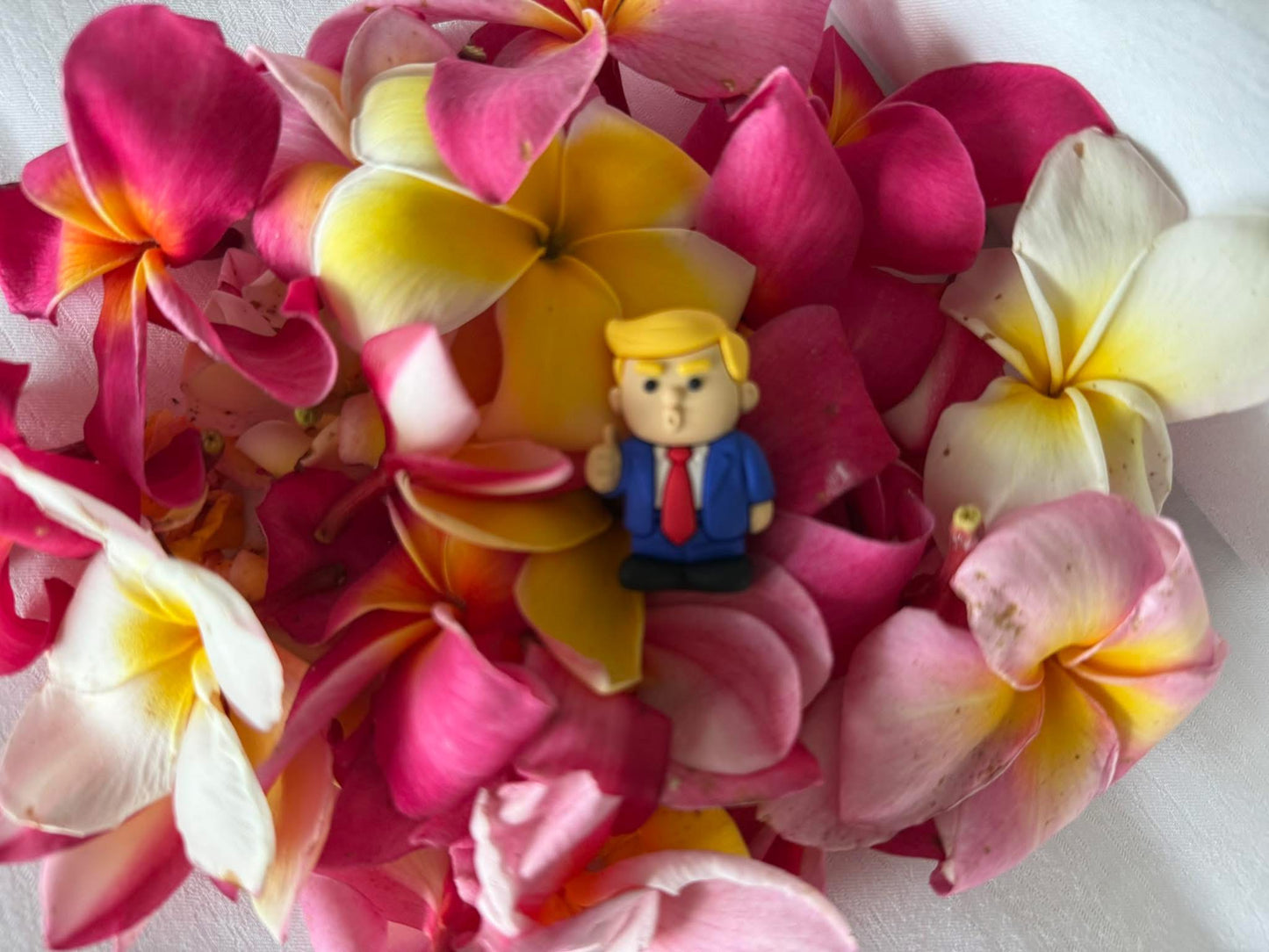 Pocket Potus (Pack of 50) $2.25 each/$112.50