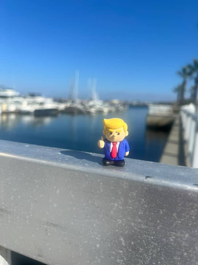 Pocket Potus (Pack of 5) $3.49 each/$17.45